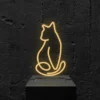 cat Cat
