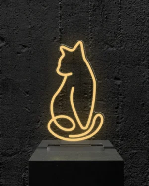 cat Cat