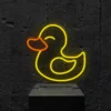 duck Duck