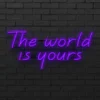 the world is yours