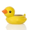 Duck_2 Duck