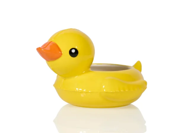 Duck_2 Duck