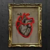 anatomical