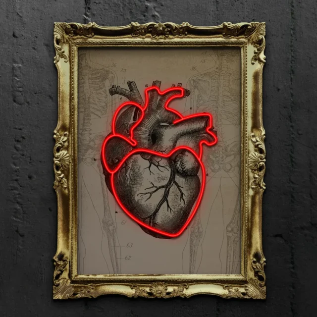 anatomical