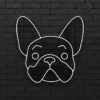 bulldog-OFF bulldog