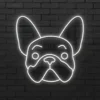 bulldog-ON bulldog