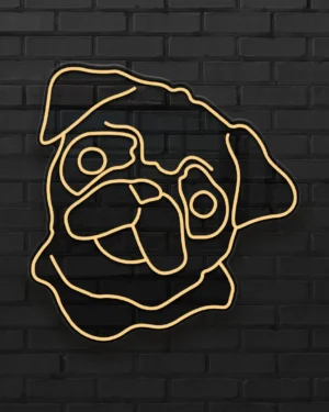 carlino-OFF carlino