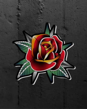 cass rosa-OFF