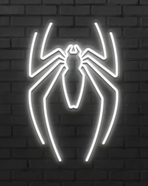 spider