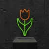 tulip-OFF Tulipano