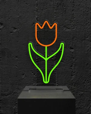 Tulipano