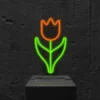 tulip-ON Tulipano